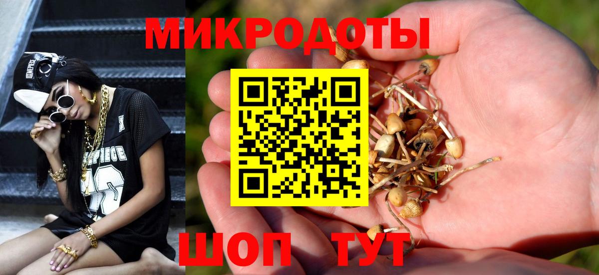 Псилоцибиновые грибы GOLDEN TEACHER Химки