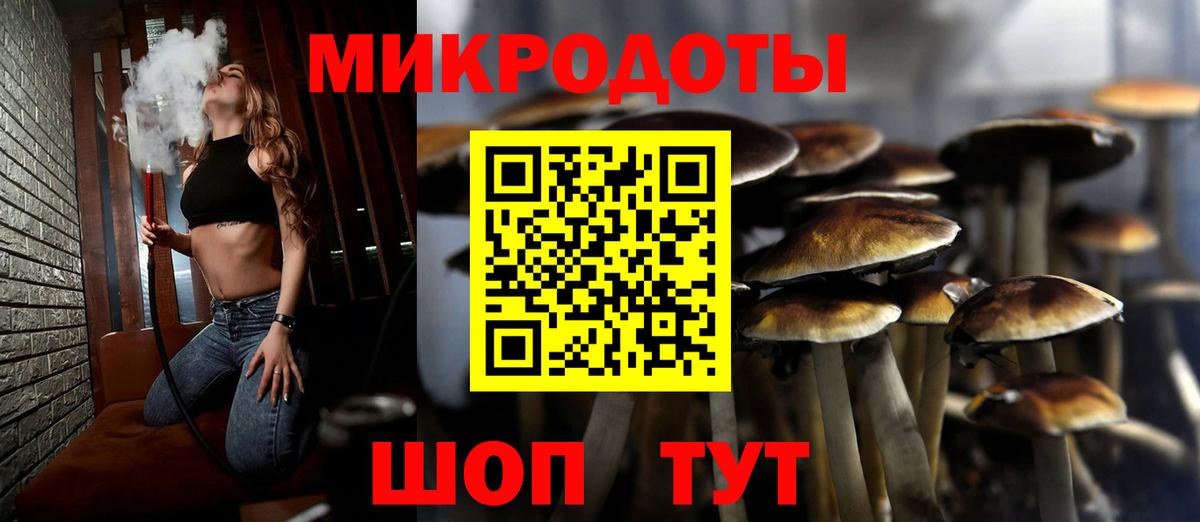 Псилоцибиновые грибы Psilocybe  Вход с VPN  Химки 